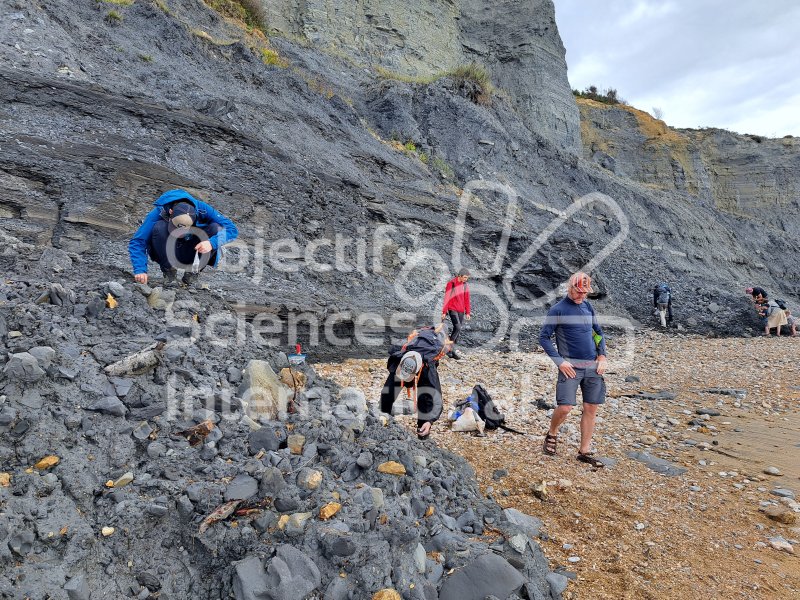 Keywords: Angleterre,Dorset,Charmouth,plage