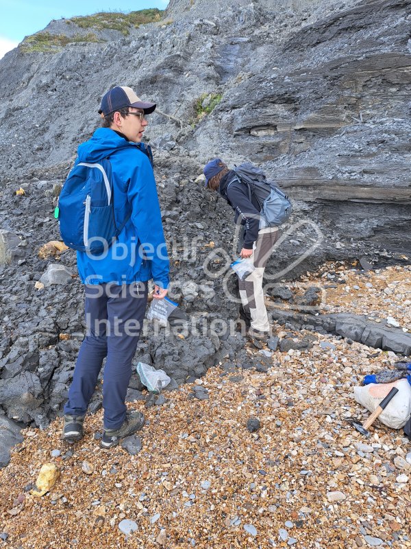 Keywords: Angleterre,Dorset,Charmouth,plage