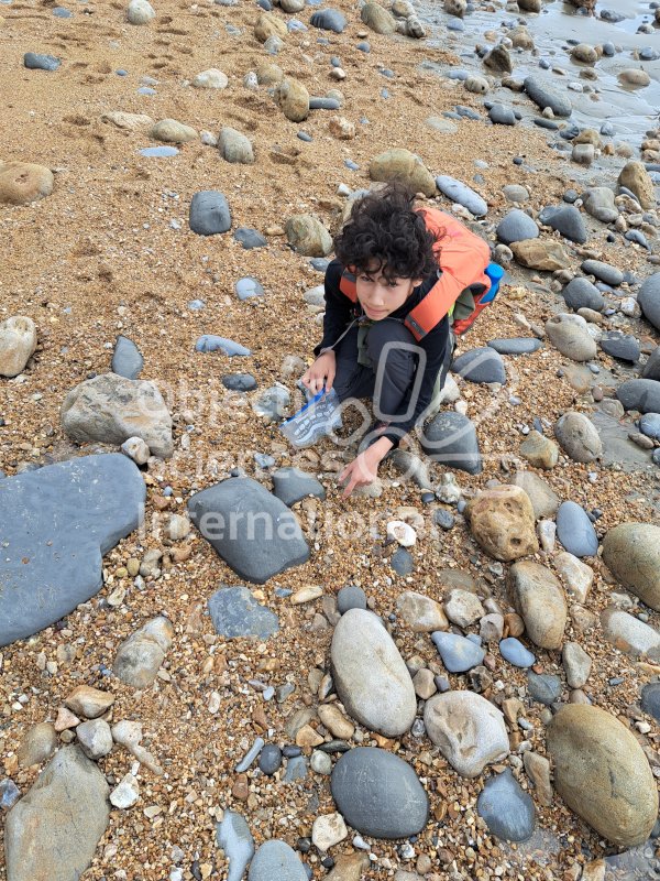 Keywords: Angleterre,Dorset,Charmouth,plage