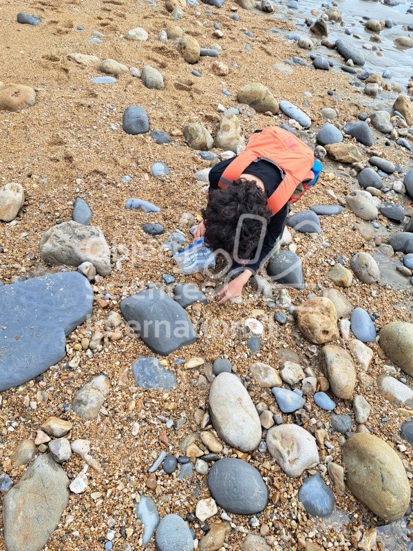 Keywords: Angleterre,Dorset,Charmouth,plage