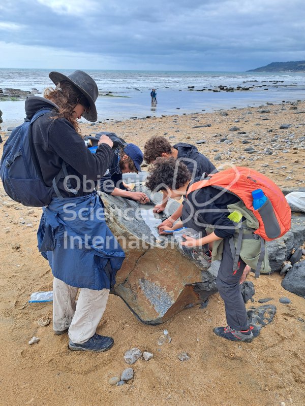 Keywords: Angleterre,Dorset,Charmouth,plage