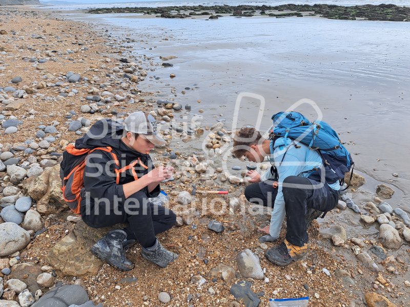 Keywords: Angleterre,Dorset,Charmouth,plage