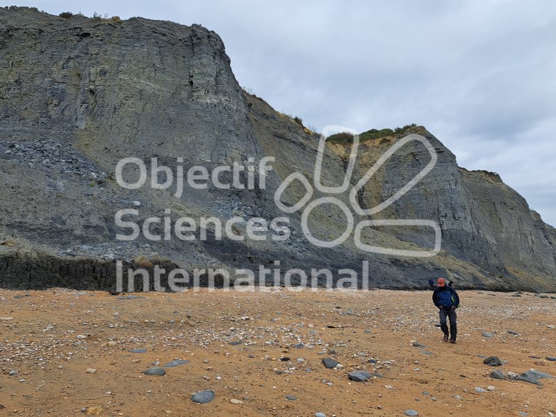 Keywords: Angleterre,Dorset,Charmouth,plage