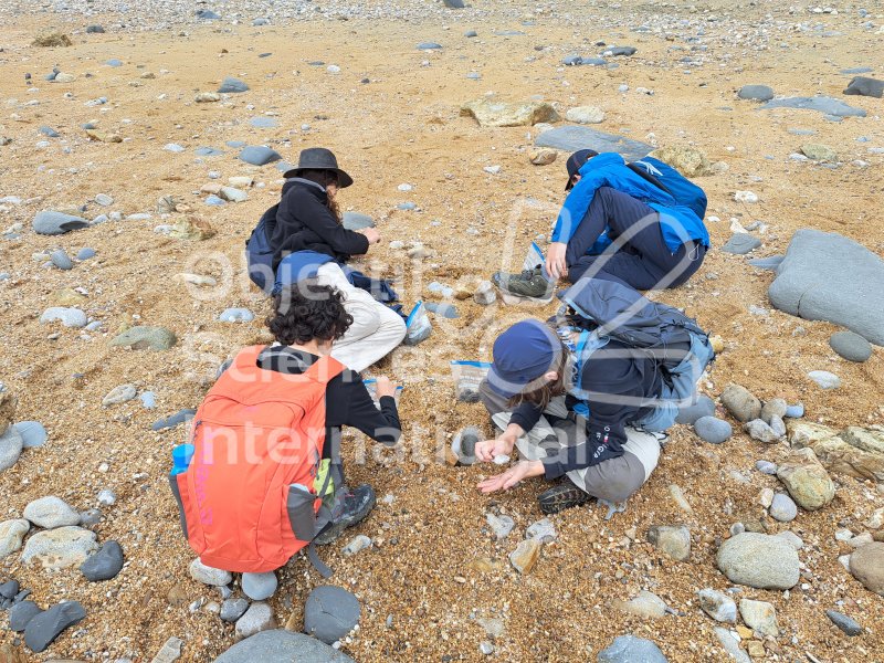 Keywords: Angleterre,Dorset,Charmouth,plage