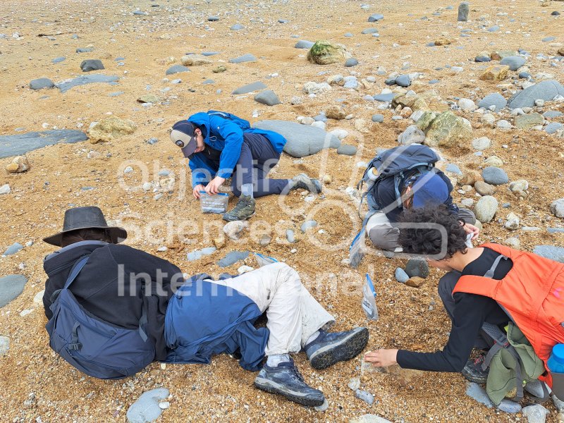 Keywords: Angleterre,Dorset,Charmouth,plage