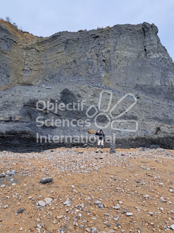 Keywords: Angleterre,Dorset,Charmouth,plage