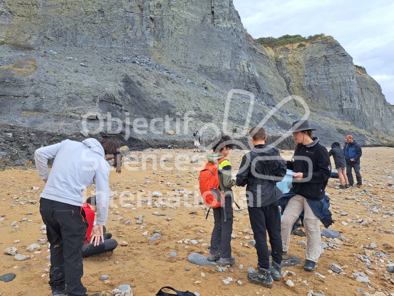 Keywords: Angleterre,Dorset,Charmouth,plage