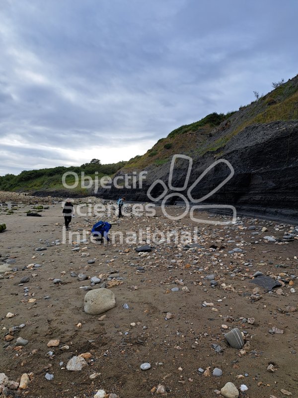 Keywords: Angleterre,Dorset,Charmouth,plage