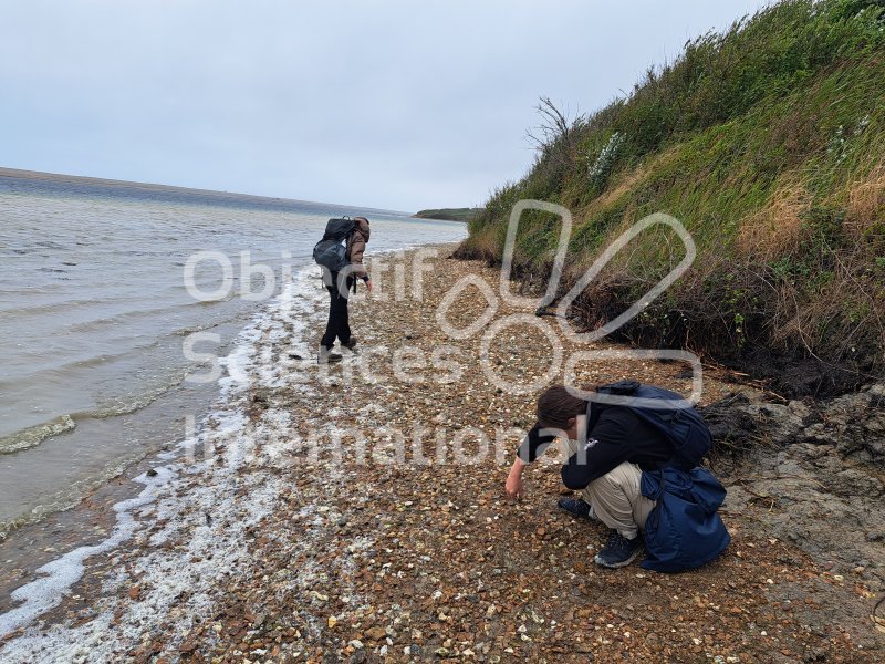 Keywords: Angleterre,Dorset,Weymouth,plage