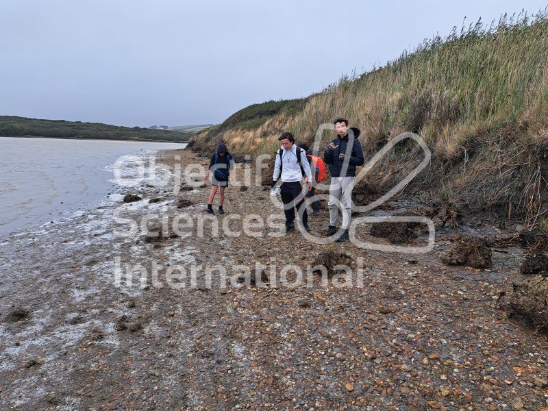 Keywords: Angleterre,Dorset,Weymouth,plage