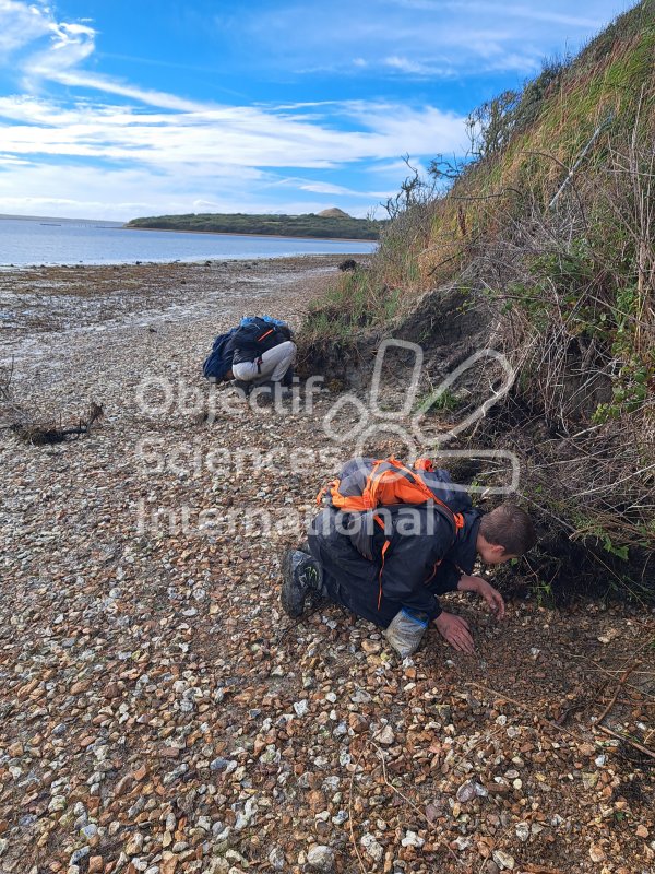 Keywords: Angleterre,Dorset,Weymouth,plage