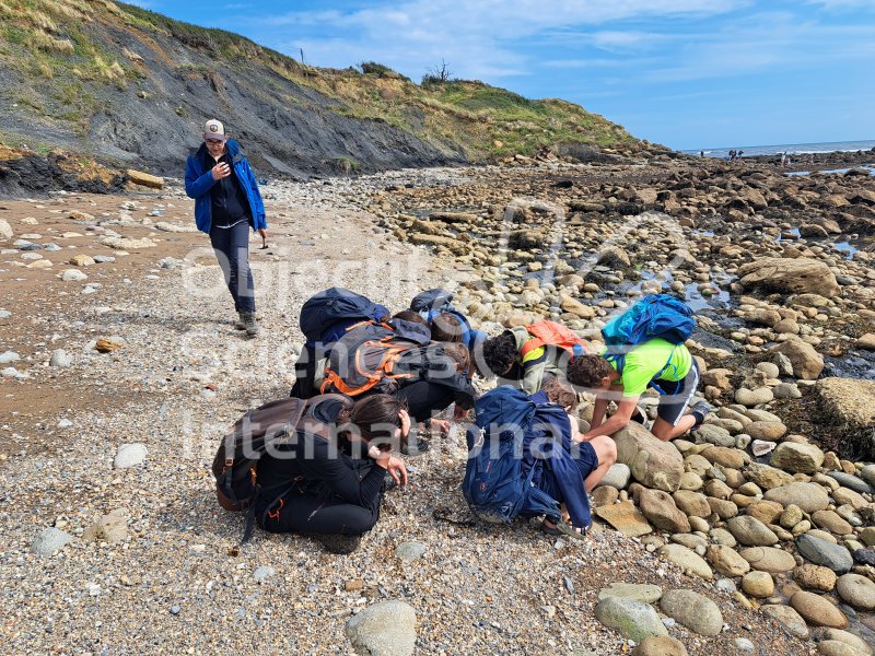 Keywords: Angleterre,Dorset,Osmington Mills,plage