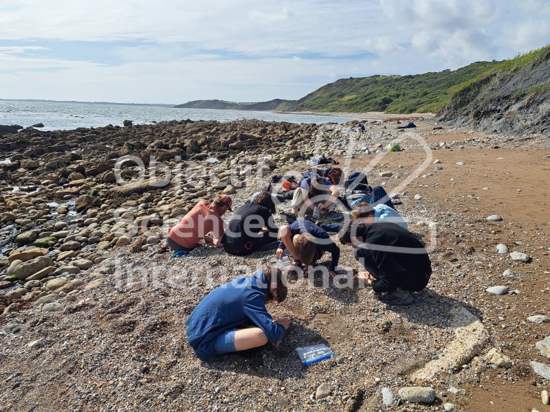 Keywords: Angleterre,Dorset,Osmington Mills,plage