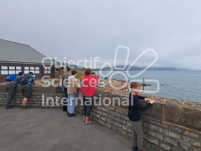 Keywords: Angleterre,Lyme Regis,plage,fossiles