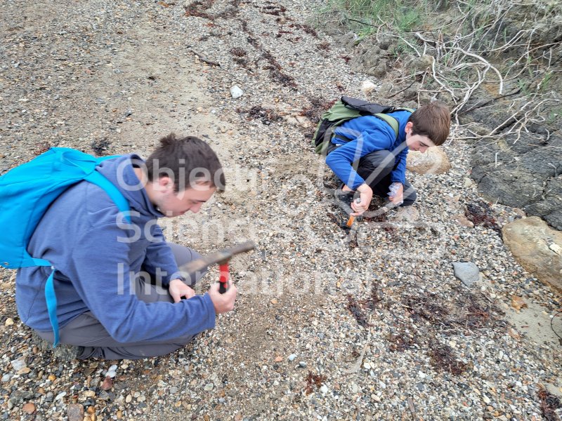 Keywords: Angleterre,Weymouth,plage,fossiles