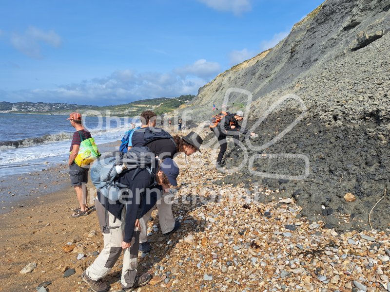 Keywords: Angleterre,Dorset,Charmouth,plage