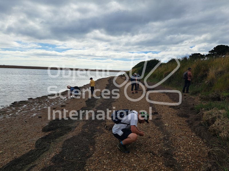 Keywords: Angleterre,Weymouth,plage,fossiles