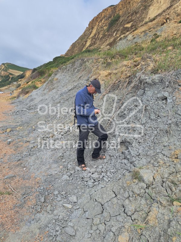 Keywords: Angleterre,Dorset,Eype,plage,fossiles