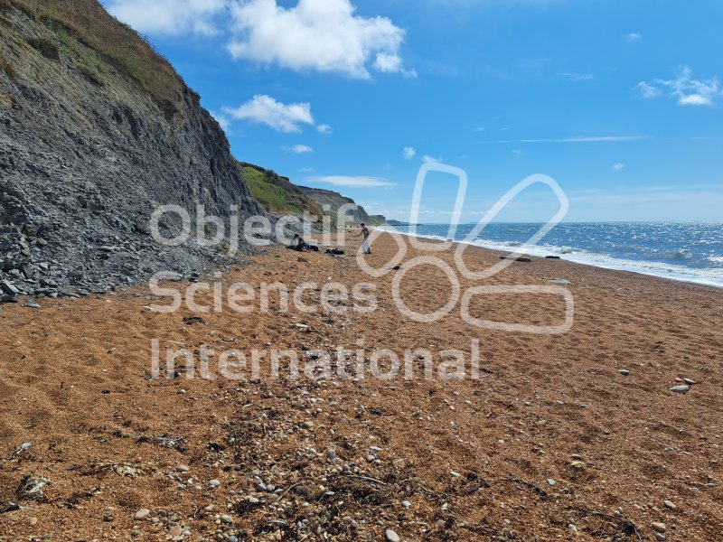 Keywords: Angleterre,Dorset,Eype,plage