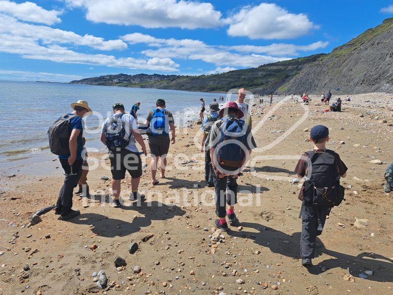 Keywords: Angleterre,Charmouth,plage,fossiles