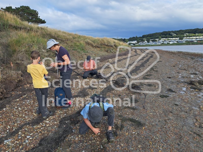 Keywords: Angleterre,Weymouth,plage,fossiles