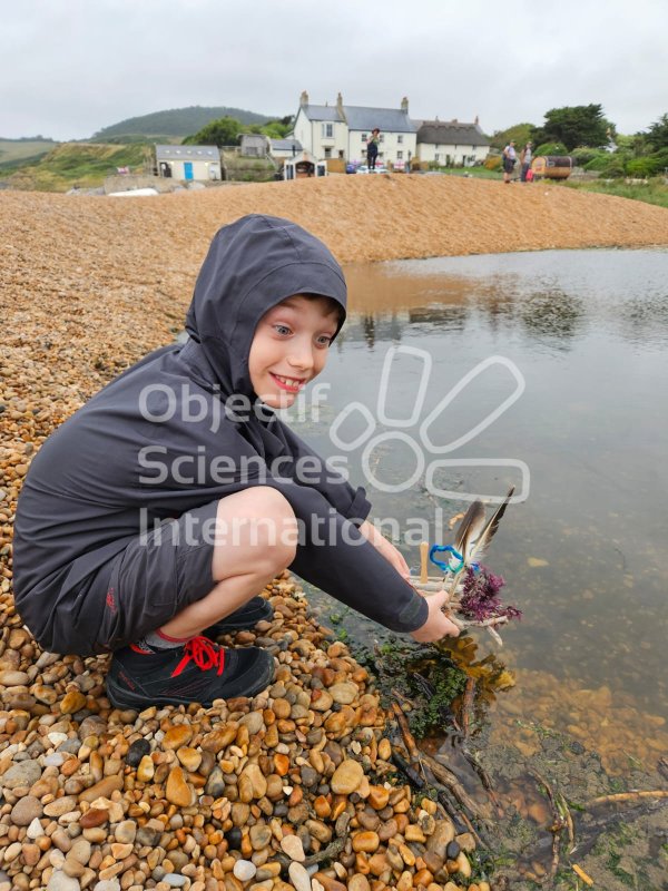 Keywords: Angleterre,Dorset,Seatown,plage