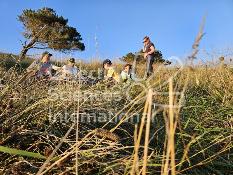 Keywords: Angleterre,Weymouth,plage,fossiles