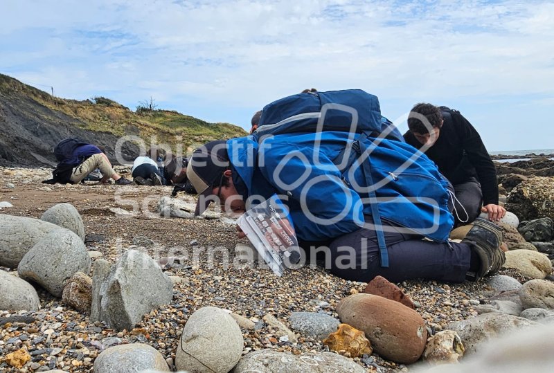 Keywords: Angleterre,Dorset,Osmington Mills,plage