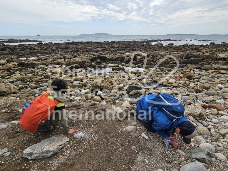 Keywords: Angleterre,Dorset,Osmington Mills,plage