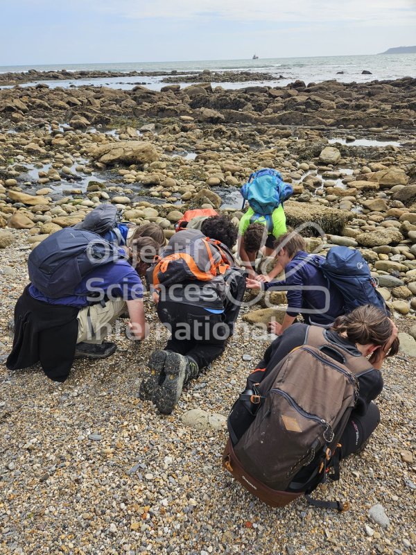 Keywords: Angleterre,Dorset,Osmington Mills,plage