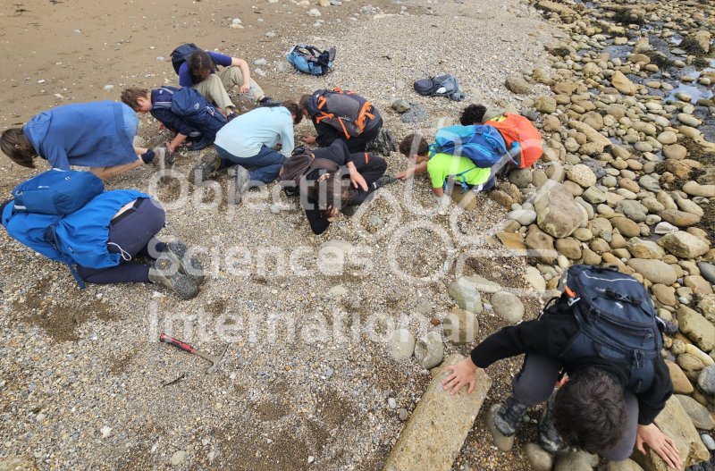 Keywords: Angleterre,Dorset,Osmington Mills,plage