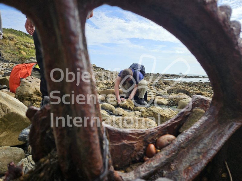 Keywords: Angleterre,Dorset,Osmington Mills,plage