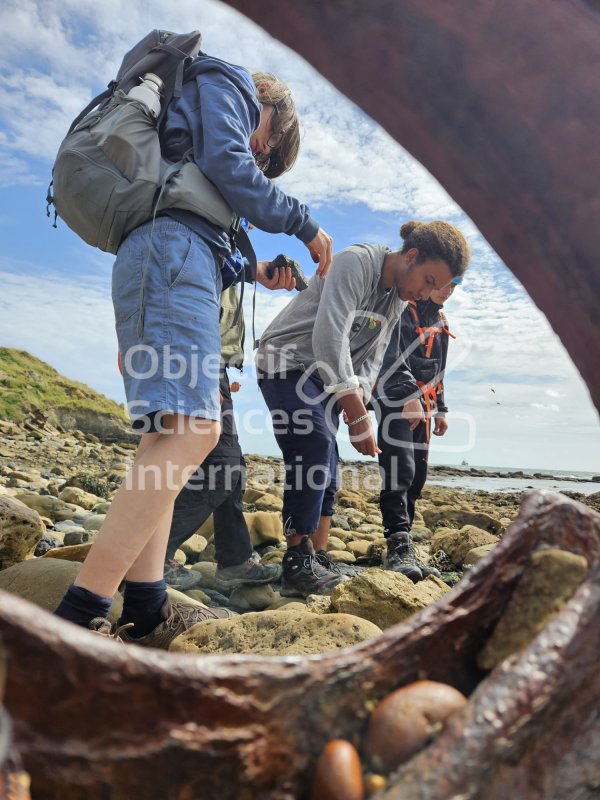 Keywords: Angleterre,Dorset,Osmington Mills,plage