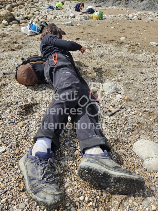 Keywords: Angleterre,Dorset,Osmington Mills,plage