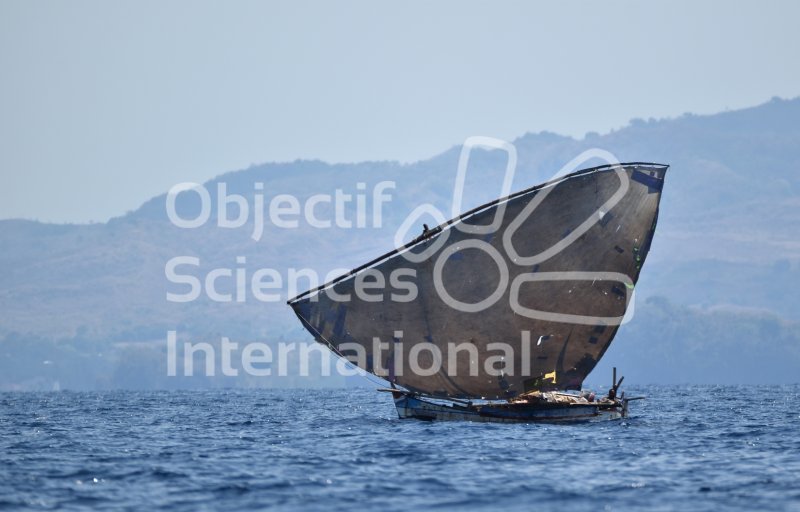 Keywords: ambiance, pirogue grande voile, Nosy Bê