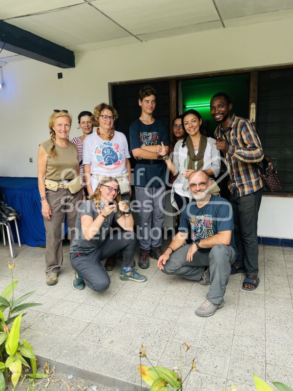 Keywords: groupe bonobo