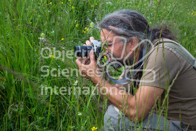 Keywords: photographie naturaliste,photographe,herbes,herbe