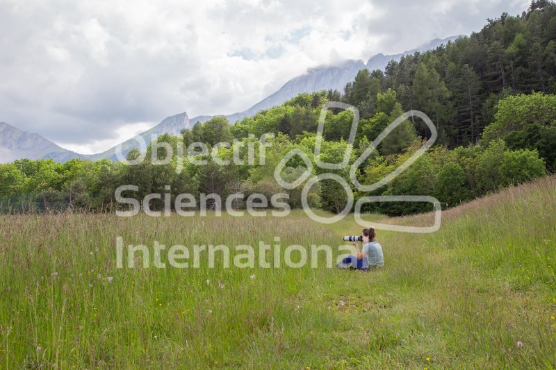 Keywords: formation biodiversita,photographie naturaliste,participant,paysage,herbe,champs