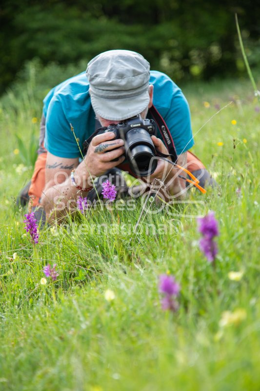 photographie naturaliste, photographe, macro
Keywords: formation naturaliste biodiversita,écrins,photographie naturaliste,participant,prairie,fleurs