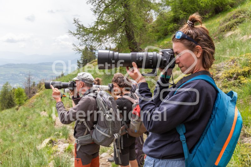 Keywords: observation aux jumelles,observateurs,observation,nature