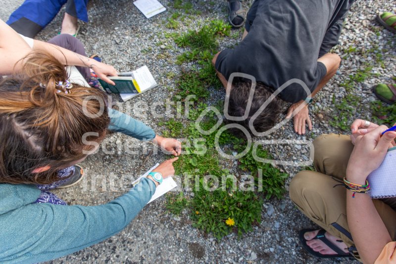 Keywords: botanique,formateur,biodiversita,groupe