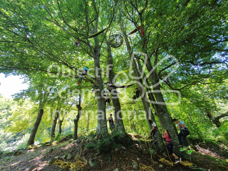 grimpe d'arbre
Keywords: grimpe d&#039;arbre,perception