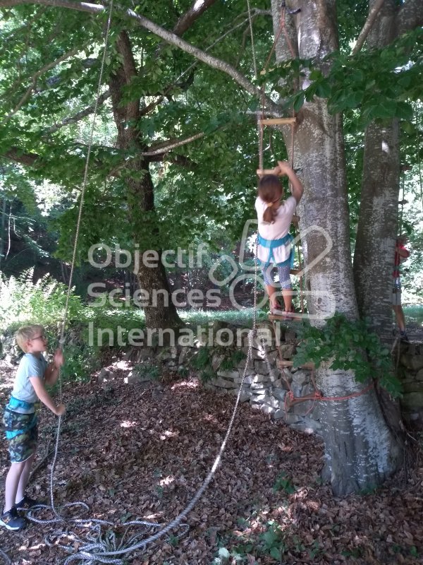 Keywords: Grimpe, arbre, forêt, moulinette, binôme 