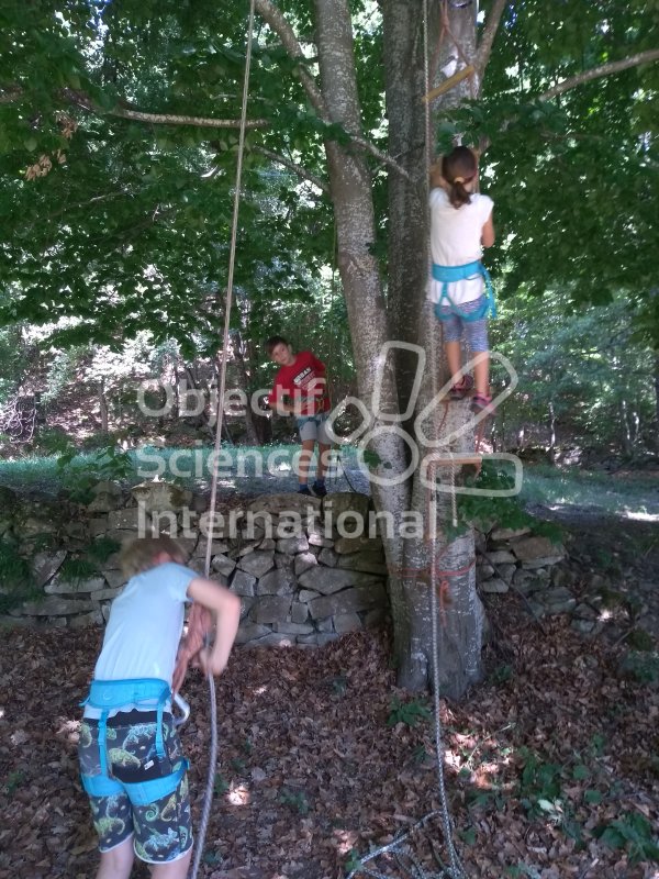 Keywords: Grimpe, arbre, forêt, moulinette, binôme 