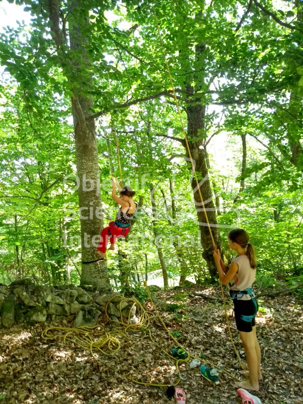 Keywords: Grimpe,arbre,forêt,moulinette,binôme