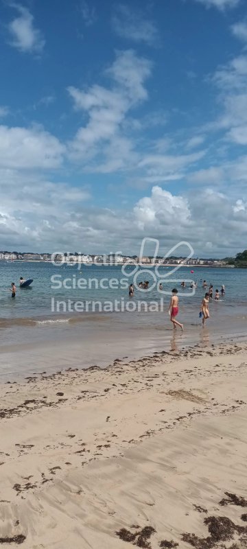 Sortie plage du mercredi après-midi
Keywords: Jour 3 : mercredi 12 juillet 2023,archéologie,sous-marine,subaquatique,plongée,visite,mémoire,patrimoine