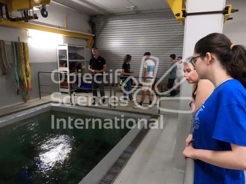 Visite du dépôt archéologique GORDAILUA
Keywords: Jour 2 : mardi 11 juillet 2023,Archéologie,sous-marine,subaquatique,plongée,visite,mémoire,patrimoine