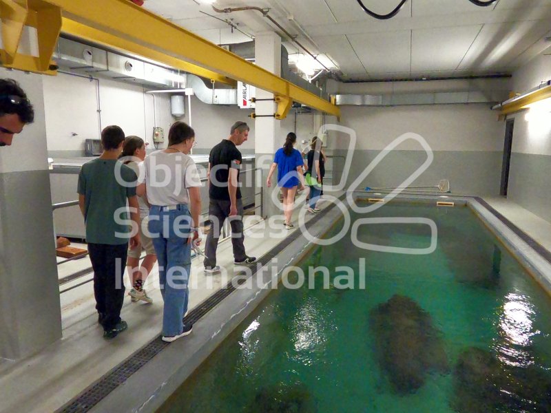 Visite du dépôt archéologique GORDAILUA
Keywords: Jour 2 : mardi 11 juillet 2023,Archéologie,sous-marine,subaquatique,plongée,visite,mémoire,patrimoine