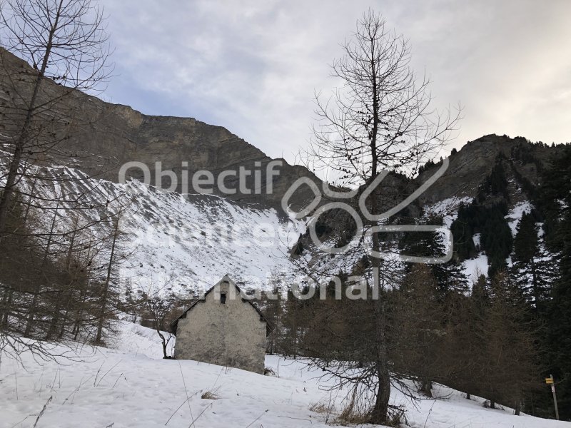 Photo_OSI_Hautes_Alpes_Hiver__P_et_N_282029.JPG