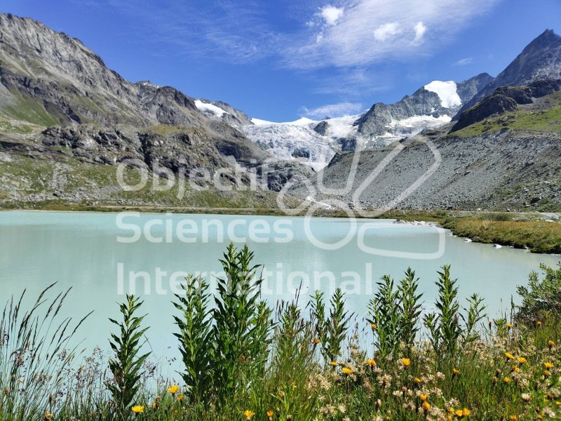 Keywords: paysage montagne suisse